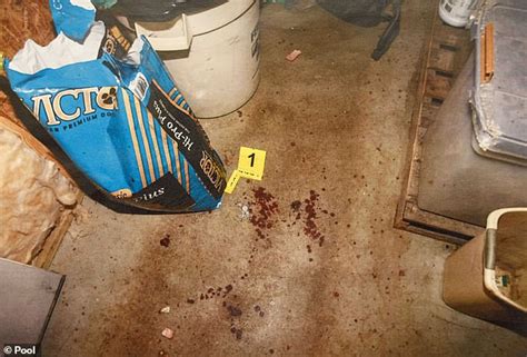 murdaugh murder pics|Chilling photos reveal bloody crime scene where Maggie and Paul ...